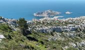 Trail Walking Marseille - Marseilleveyre-sommet-1105-22 - Photo 11