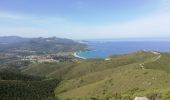 Tour Wandern Belgodère - les hauteurs de lozari (départ plage de Lozari) - Photo 7