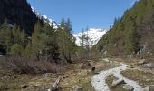 Trail Walking Vallorcine - refuge de la pierre à Berard - Photo 11