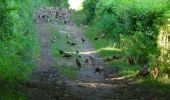 Excursión A pie Clavier - WandArdNat 14:Pailhe, een bosreservaat op een heuvel (PVDB) - Photo 1