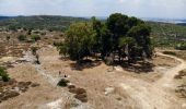 Tour Zu Fuß Regionalverwaltung Mateh Jehuda - לעין מטע - Photo 5