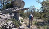 Tour Wandern Mazaugues - Mazaugues 21.4.24 - Photo 2