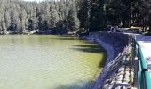 Excursión Senderismo Le Valtin - gazon du fait les lacs - Photo 4