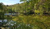 Tour Wandern Zabern - Saverne : rocher Rappenfels - grotte St Vit - château Greifenstein - Photo 1