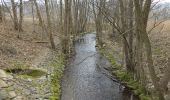 Percorso A piedi Steinau an der Straße - Steinau a. d. Straße, Wanderweg 4a - Photo 8