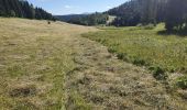 Trail Walking Saint-Martin-en-Vercors - Herbouilly corencon en Vercors  - Photo 2