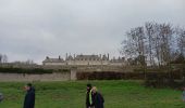 Trail Walking Menars - menais bord de Loire  - Photo 3