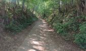Trail Walking Halen - Loksbergen - Photo 11