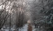 Trail Walking Spa - autour de berinzenne - mousseux - Photo 4