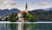 Trail Walking Bled - bled - tour du lac - Photo 6