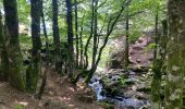 Tour Wandern Mandagout - Cap de coté cascade Orgon - Photo 1