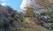 Trail Walking L'Albère - ullat - san-cristau / retour par la piste  - Photo 14