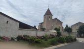 Tocht Stappen Bois-de-Haye - Audax Velaine - Photo 3