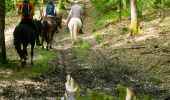 Tocht Paard Libin - De Chevauchée des vallées sauvages  - Photo 1