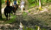 Randonnée Cheval Libin - Chevauchée des vallées sauvages  - Photo 1