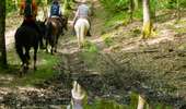 Excursión Caballo Libin - Chevauchée des vallées sauvages  - Photo 1