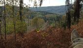 Excursión Paseo ecuestre Haut-du-Them-Château-Lambert - camping pat ballon servance  - Photo 2