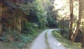 Trail Walking Estaing - ESTAING Cabane d'Ariousec en boucle G3 - Photo 7
