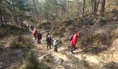 Trail Walking Fontainebleau - croix du grand maître 3mars 2023  - Photo 13