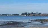 Trail Walking Belz - PR_56_Belz_DA_04_Pointe-De-Kerrio_Circuit4a_20250102 - Photo 15