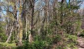 Trail Walking Liège - angleur gare . sart tilman via bois St Laurent.retour via bois St jean - Photo 18