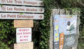 Tour Wandern Lacrouzette - Sidobre - Photo 15