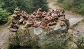 Tour Wandern Sankt Kreuz im Lebertal - boucle col haut de Ribeauvillé - taennchel sentier des roches  - Photo 9