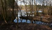 Tour Zu Fuß Lanaken - La Butte aux Bois Groene rechthoek - Photo 6