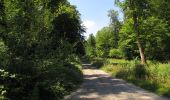 Tocht Stappen Oigny-en-Valois - en forêt de Retz_81_vers les étangs de Bourcq et sur le GR11 - Photo 8