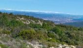 Trail Walking Le Lavandou - les hauts de Pramousquier - Photo 3