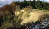 Tour Zu Fuß Markdorf - Wanderwege Markdorf: Eulenweg - Photo 10