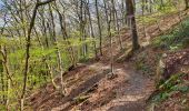 Randonnée Marche Thuin - Balade à l'abbaye d'Aulne - Photo 9