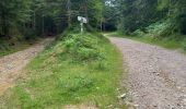 Trail Walking Lavoine - Les sources de la Besbre - Photo 8