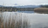 Trail Walking Le Cannet-des-Maures - lac des escarcets - Photo 8