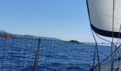 Percorso Barca a vela Propriano - lion de rocofar1 - Photo 2
