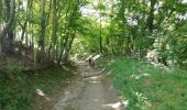 Trail Walking Saint-Pierre-de-Chandieu - 69-Saint Pierre de Chandieu 17km 400m MAI 2020 - Photo 1