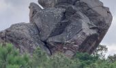 Randonnée Marche Narbonne - La combe d'enfer en Narbonnais  - Photo 5