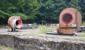 Tour Wandern Ronchamp - Ronchamp - sentier des Affleurements de l'Etançon - Photo 13