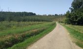 Excursión Senderismo Lévignac-de-Guyenne - A travers les champs et vergers au sud de Lévignac De Guyenne - Photo 4