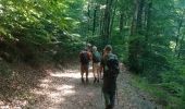 Trail Walking Le Vintrou - gorges du banquet lac St peyres  - Photo 3