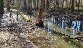 Trail Walking Ciney - haid ac 5 - Photo 2