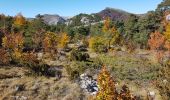 Excursión Senderismo Castellane - CASTELLANE - CADIERES DE BRANDIS PAR COL DES LEQUES - Photo 19