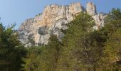 Excursión Senderismo Châtillon-en-Diois - Promenade des Vautours - Archiane - Photo 5