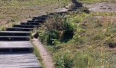 Trail Walking Erquy - LES PLAGES SAUVAGES A ERQUY - Photo 4