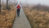 Tour Wandern Weismes - HAUTES-FAGNES ... au départ du Signal de Botrange.  - Photo 11