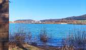 Tocht Stappen Amay - Le Lac de la Gravière   - Photo 1