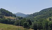 Trail Walking Olby - J3 : Olby - lac de Servières - Photo 13