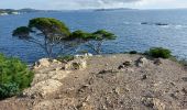 Randonnée Marche Hyères - Giens boucle ouest - Photo 16