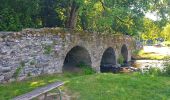 Tour Wandern Vresse-sur-Semois - Balade à Chairière - Vresse sur Semois - Photo 17