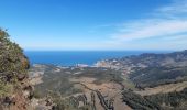 Trail Walking Collioure - MADELOC depuis col de la serra, via col formigo,  batterie 500, madeloc, col tellaferra  - Photo 5